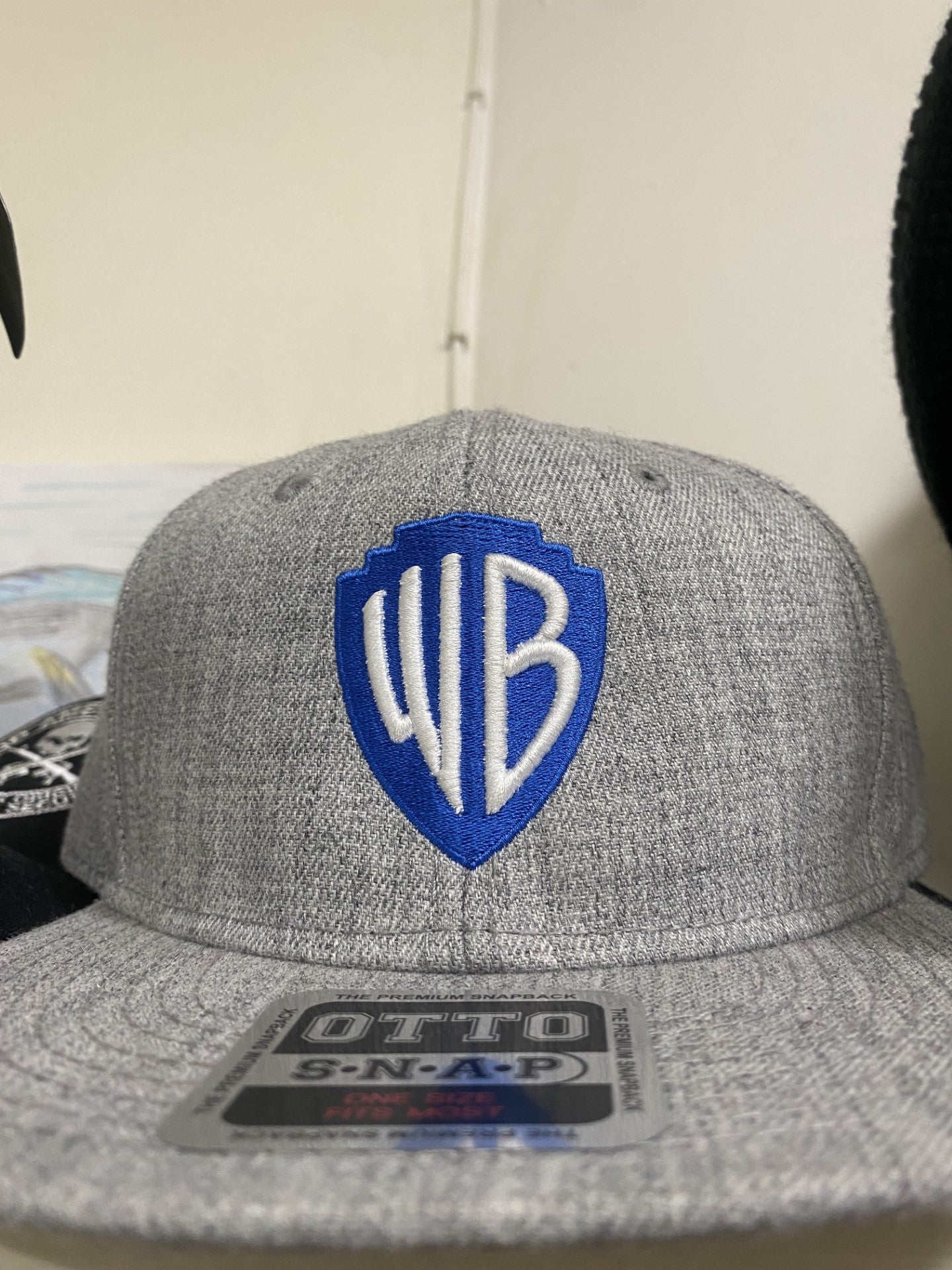 Warner Bros Custom Cap